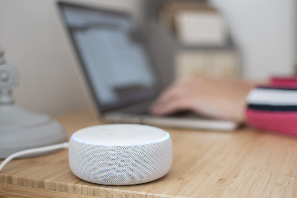 Voice Assistant or Home Assistant in Households Worldwide